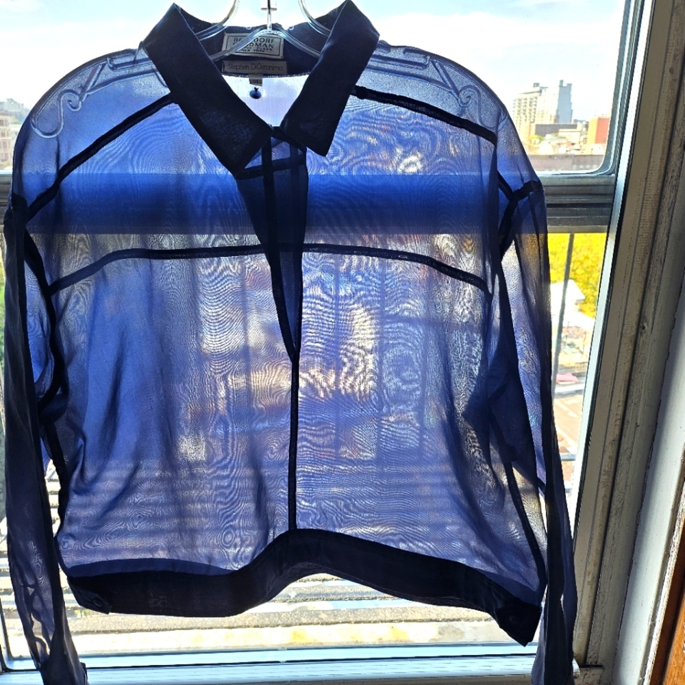 Stephen DiGeranimo, Sheer Blue Silk Pullover, Detachable Hood, M
